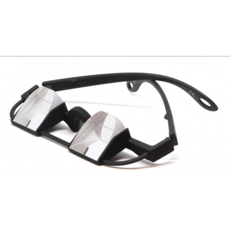 Gafas de asegurar Model 3.1 LePirate negras